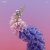 封面 Flume feat. Kucka - Numb & Getting Colder