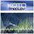 Cover Koto - Pulstar