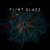 Обложка Flint Glass - The Blackness From The Stars