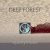Обложка Deep Forest - Night Bird