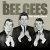 Обложка Bee Gees - Let There Be Love