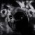 h6itam & ICEDMANE & DYSMANE - FUNK OSCURO (Sped Up)