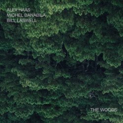 Обложка Bill Laswell - Outer Woo