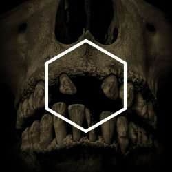 Обложка Lustmord - Insignificance