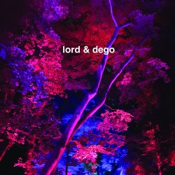 Обложка Dego - Revelation