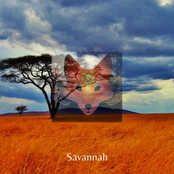 Обложка Savannah - Day After Day & Night
