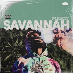 Обложка Savannah - Fight Your Way