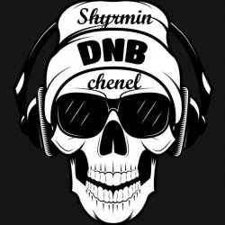 Cover Dirtyphonics - Burbank Nights