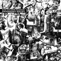 封面 Black Sun Empire - Stranger