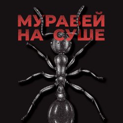 Обложка KRBK - Муравей на суше