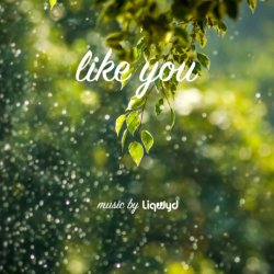 Обложка LiQWYD - Like You