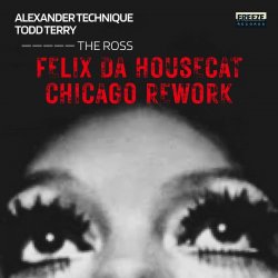 Обложка Felix Da Housecat - What Does It Feel Like