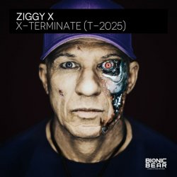 Обложка Ziggy X - Connexion
