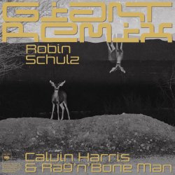 Обложка Robin Schulz - Intro