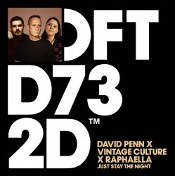 Обложка David Penn & Raphaella & Vintage Culture - Just Stay The Night