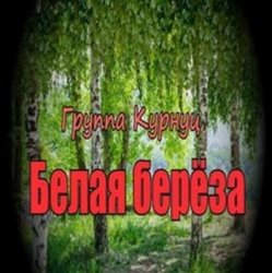 Обложка группа Курнуц - Белая береза