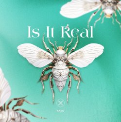 Обложка Kabo - Is It Real (Extended Mix)