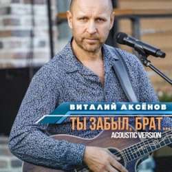 Обложка Виталий Аксенов - Ты забыл брат