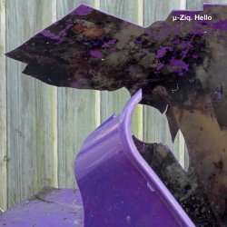 Обложка U-Ziq - Mushroom Compost