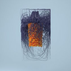 Обложка Plaid - Cwtchr