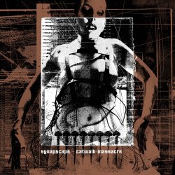 Обложка Synapscape - Surface