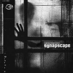 Обложка Synapscape - Spill