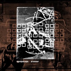 Обложка Synapscape - Discorrode