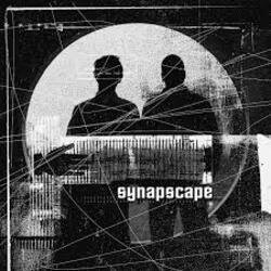 Обложка Synapscape - 2nd Sect