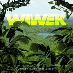 Обложка Wiwek - Salute