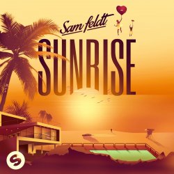 Обложка Sam Feldt - All The Things She Said