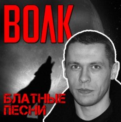 Обложка Виталий Волк - Стая