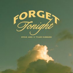 Обложка Steve Aoki - Forget Tonight (feat. Tyler Hubbard)