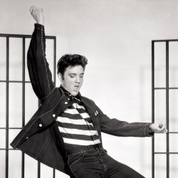 Обложка Elvis Presley - (Let Me Be Your) Teddy Bear