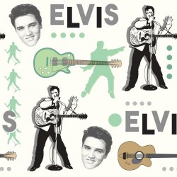 Обложка Elvis Presley - Such a Night