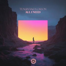 Обложка Tungevaag & Callon - All I Need