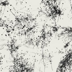 Обложка Taylor Deupree - Everything's Gone Grey