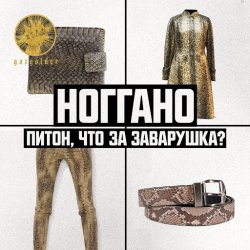 Обложка Ноггано - Питон, что за заварушка