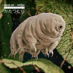 Обложка Noize MC - Катацумури