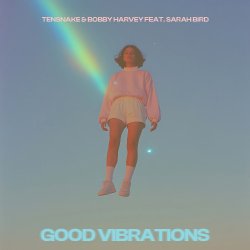 Обложка Tensnake & Bobby Harvey & Sarah Bird - Good Vibrations