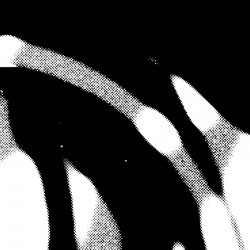 Обложка Cardopusher - Neverlasting