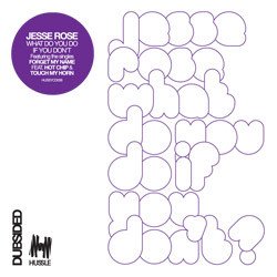 Обложка Jesse Rose - You're all over my head