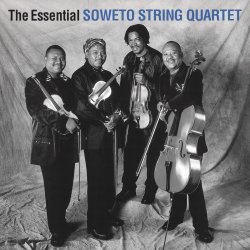 Обложка The String Quartet - Paint in black