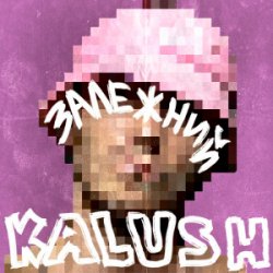 Обложка KALUSH - Залежний