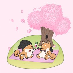 Обложка Hyper Potions - Cherry Blossoms