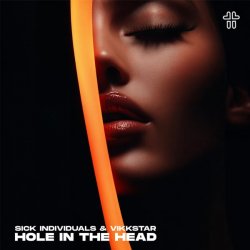 Обложка Sick Individuals & Vikkstar - Hole In The Head