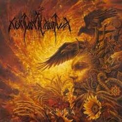 Обложка Nokturnal Mortum - Печаль родных земель