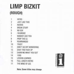 Обложка Limp Bizkit - Lesson Learned