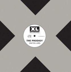 封面 The Prodigy - Everybody In The Place (Original Mix)