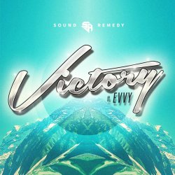 Обложка Sound Remedy - Summer Was Fun