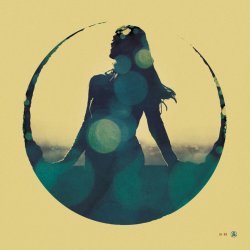 封面 Tycho - Into The Woods